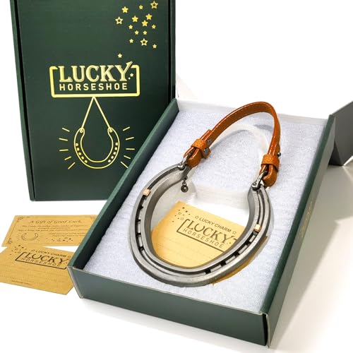 MatchWhiz Lucky Horseshoe Gift Sets, Horseshoe ornaments, ‌Handcrafted Meaningful Gift for Housewarming Wedding or Anniversary, Rustic Home Wall Decor, Includes Present Box and Message Card - Image 1