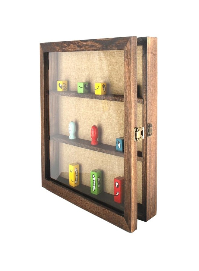 إطار صندوق الظل من ليزيباي، 14 × 16، صندوق عرض مع أكريليك، صندوق عرض مفتوح من الأمام، صدفة، تذكرة عتيقة، قسيمة، عينة حشرة، عملة معدنية (جوز) - Image 1