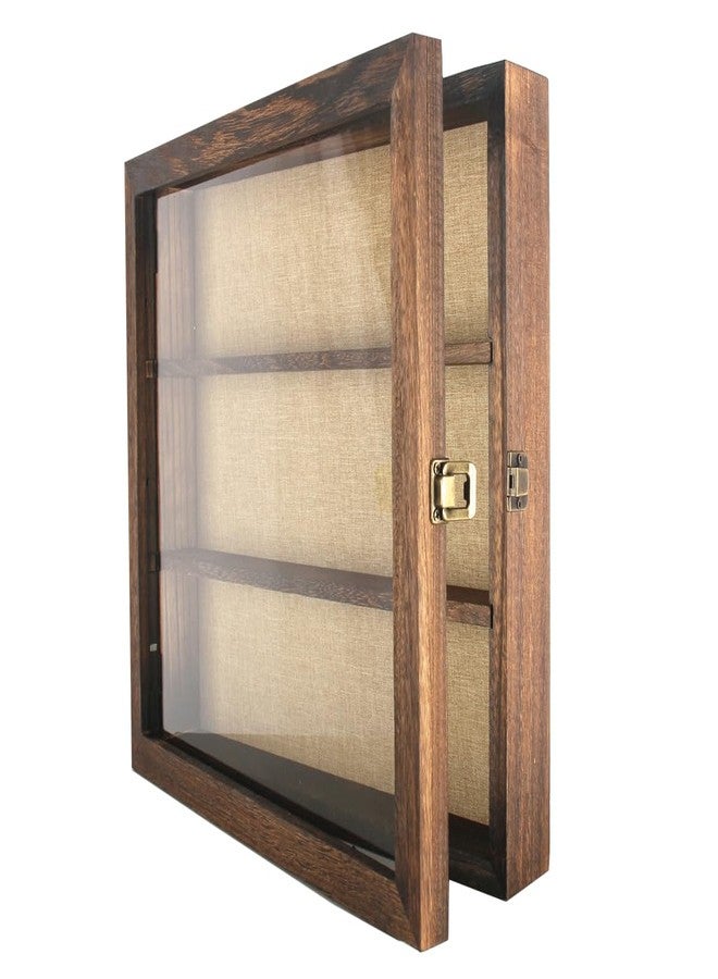 إطار صندوق الظل من ليزيباي، 14 × 16، صندوق عرض مع أكريليك، صندوق عرض مفتوح من الأمام، صدفة، تذكرة عتيقة، قسيمة، عينة حشرة، عملة معدنية (جوز) - Image 4