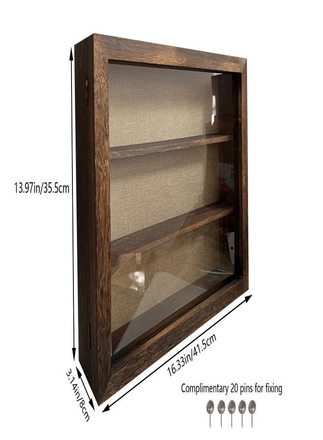 إطار صندوق الظل من ليزيباي، 14 × 16، صندوق عرض مع أكريليك، صندوق عرض مفتوح من الأمام، صدفة، تذكرة عتيقة، قسيمة، عينة حشرة، عملة معدنية (جوز) - Image 3