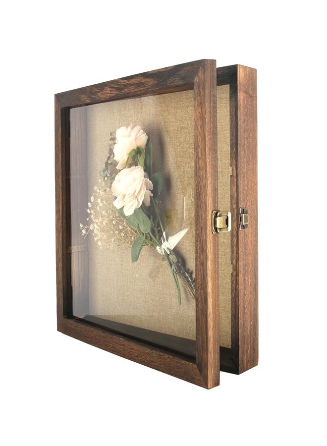 إطار صندوق الظل من ليزيباي، 14 × 16، صندوق عرض مع أكريليك، صندوق عرض مفتوح من الأمام، صدفة، تذكرة عتيقة، قسيمة، عينة حشرة، عملة معدنية (جوز) - Image 2