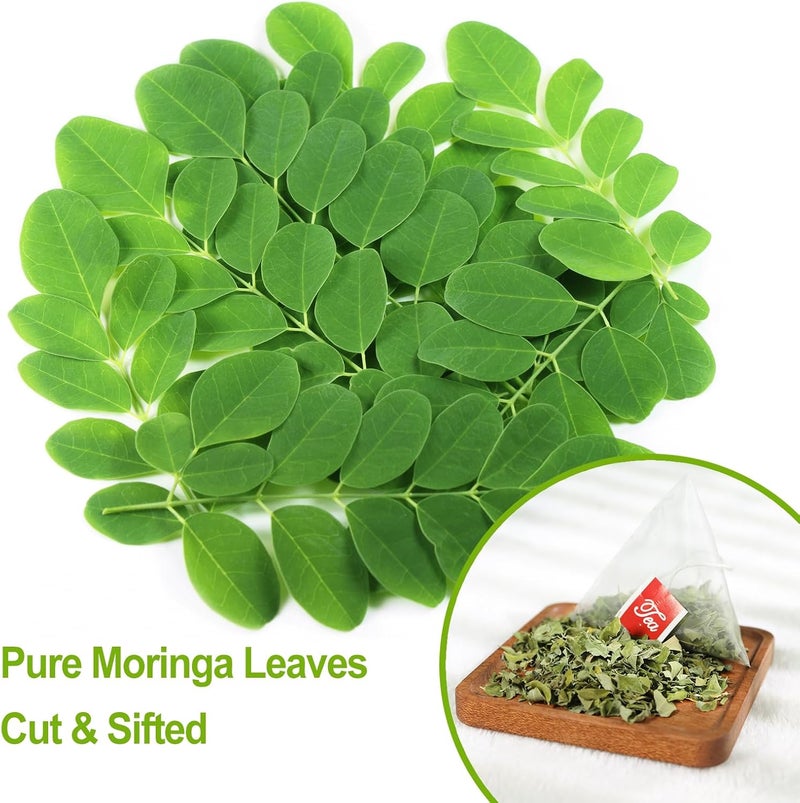 FullChea شاي مورنغا من فول تشيا - 50 كيس شاي من أوراق المورنغا النقية والطبيعية من الهند - شاي عشبي لدعم الهضم والمناعة - خالي من الكافيين - Image 3