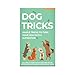 Gift Republic Dog Tricks Card Pack 100 Training Cards for Dogs and Puppies Fun Gift Idea for Pet Owners Easy Obedience Training Tips Green - Image 2