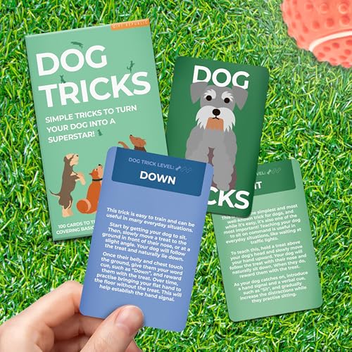 Gift Republic Dog Tricks Card Pack 100 Training Cards for Dogs and Puppies Fun Gift Idea for Pet Owners Easy Obedience Training Tips Green - Image 5