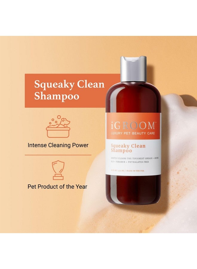 أي جروم شامبو Squeaky Clean للكلاب، عناية فاخرة بجمال الحيوانات الأليفة، قوة تنظيف مكثفة، مستخلصات البابونج لتهدئة البشرة، صنع في الولايات المتحدة الأمريكية (1 جالون) - Image 4