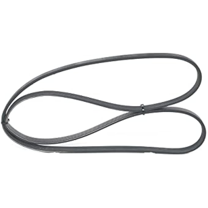 ريحني 1 987 947 863 حزام بولي ريبيت - Image 1