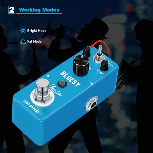 Rowin Vintage Vacuum Bluesy Guitar Effect Pedal - Image 2