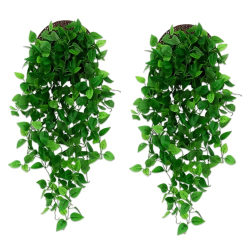 Delphinus Fake Hanging Plants, 2pcs Artificial Hanging Plant, Faux Vine Plants Indoor and Outdoor for Office Home Living Room Bathroom Wall Shelf Decor - Image 1