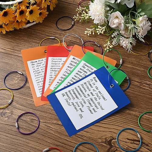 Bidponds 25 Pack Wire Keychain Cable,5.9 Inches Nylon Coated Stainless Steel Key Ring,Luggage Tag Loops,2mm Twist Barrel,Black - Image 4