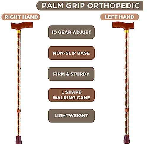 PAXMAX Brown Carving Style Design Premium Aluminium Imported Walking Stick L Type Universal Size Old Age (Men & Women) (Brown) - Image 2