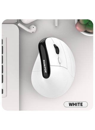 Xunfox H5 Vertical Wireless Bluetooth MouseWhite White - pzsku/Z338EBCC63B504B760B81Z/45/1746223930/56bd376a-66f2-4f9b-b5c8-525d1647f95a