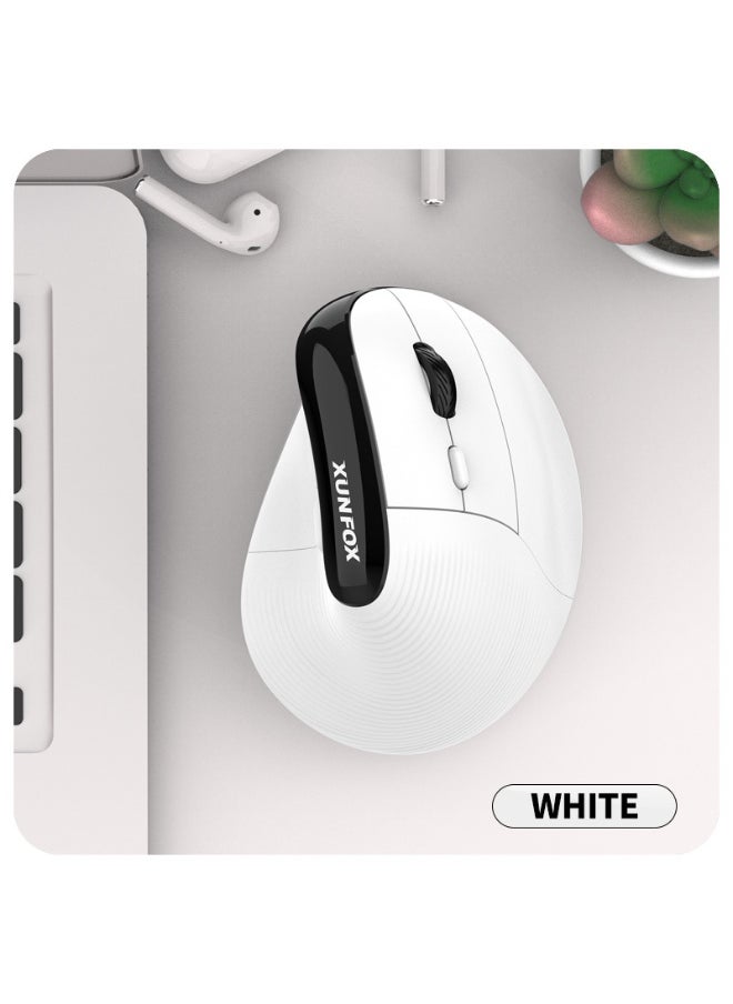 NIBEMINENT Xunfox H5 Vertical Wireless Bluetooth MouseWhite White 