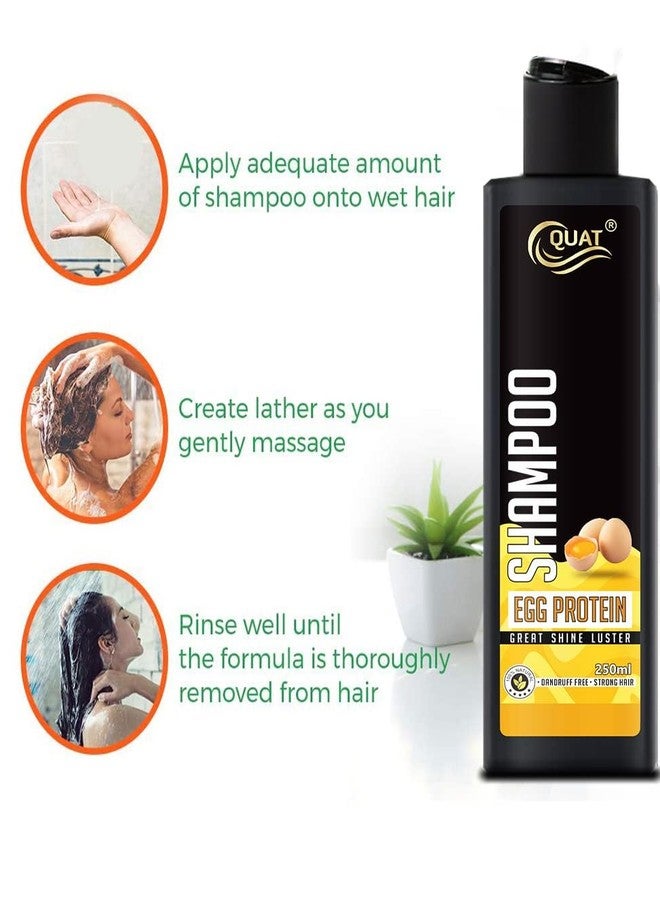 Quat pure egg white protein hair shampoo for great hair luster and shine (250ml) (New) - Image 5