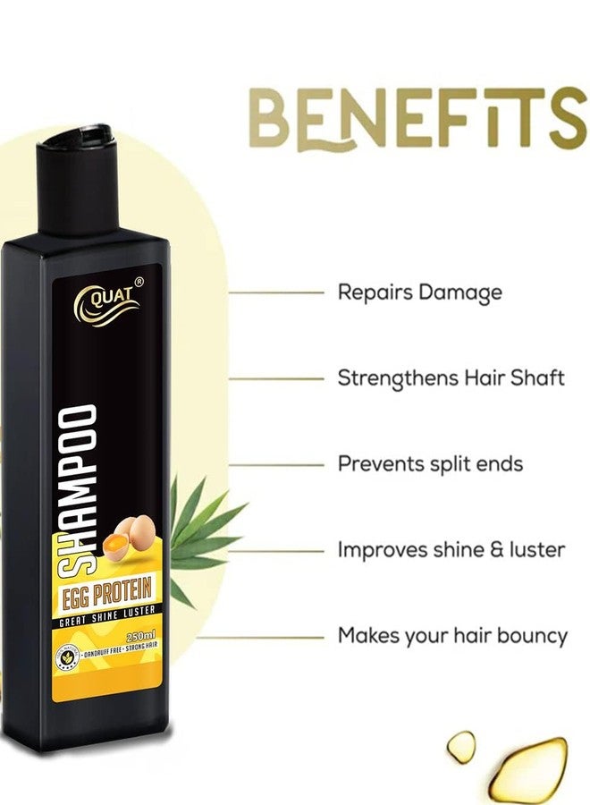 Quat pure egg white protein hair shampoo for great hair luster and shine (250ml) (New) - Image 4