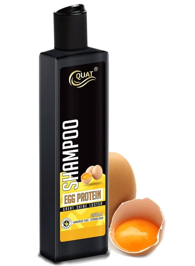 Quat pure egg white protein hair shampoo for great hair luster and shine (250ml) (New) - Image 2