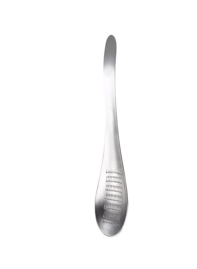 Aliotech Spoon Shape Stainless Steel Garlic Ginger Fruits Root Vegetable Grater Grinder Spoon for Kitchen - Image 2