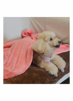 Y&D 3 Pcs Pet Flannel Blankets Super Soft Fluffy Premium Fleece Bed Blanket Cat Paw Kitten Cute Print for Dog Puppy Pink and Grey Small  - Image 4