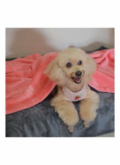 Y&D 3 Pcs Pet Flannel Blankets Super Soft Fluffy Premium Fleece Bed Blanket Cat Paw Kitten Cute Print for Dog Puppy Pink and Grey Small  - Image 2