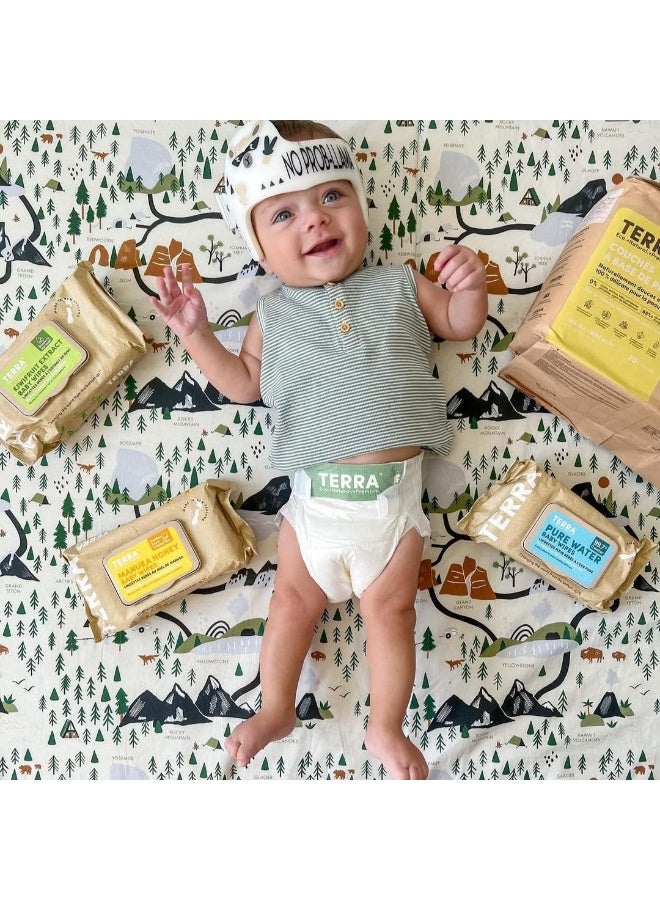 Terra مناديل تيرا بامبو للأطفال: عسل مانوكا، 99.5% ماء نيوزيلندي نقي، 100% ألياف بامبو قابلة للتحلل، 0% بلاستيك، مناديل أطفال غير معطرة للبشرة الحساسة، 12 عبوة تحتوي على 70 منديل - Image 3