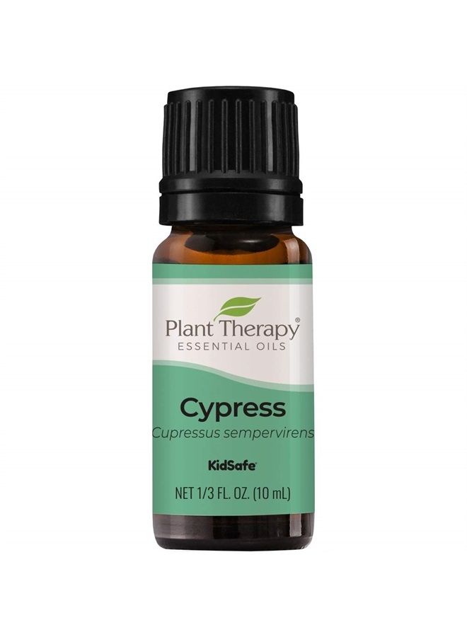 Plant Therapy Cypress Essential Oil 100% Pure, Undiluted, Natural Aromatherapy, Therapeutic Grade 10 mL (1/3 oz) - Image 1
