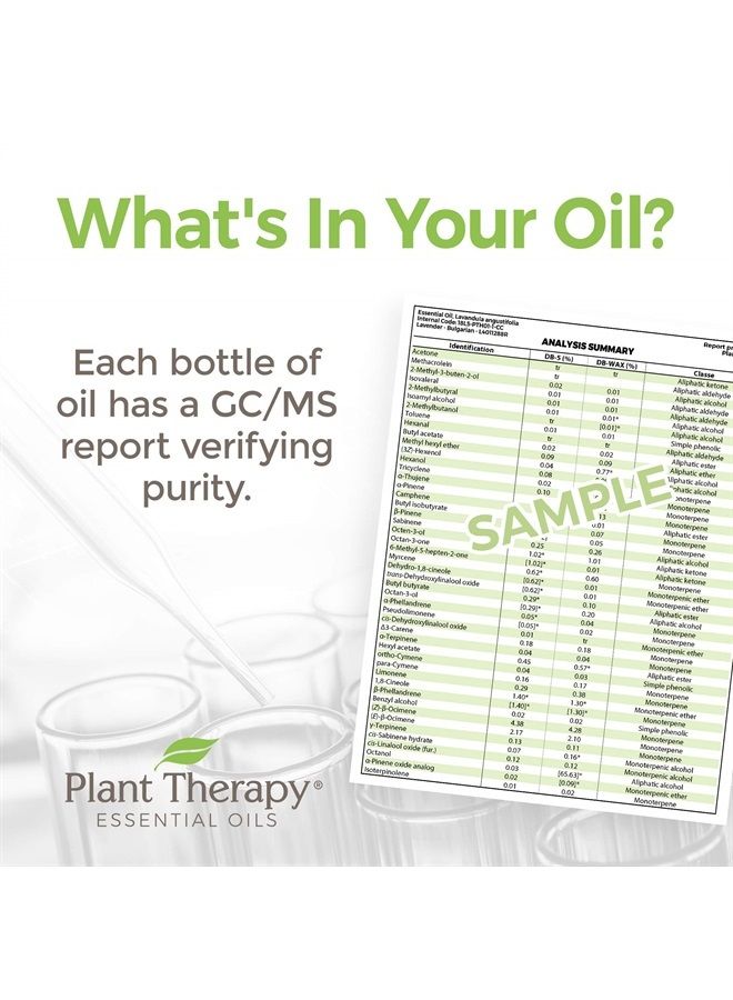 Plant Therapy Cypress Essential Oil 100% Pure, Undiluted, Natural Aromatherapy, Therapeutic Grade 10 mL (1/3 oz) - Image 3