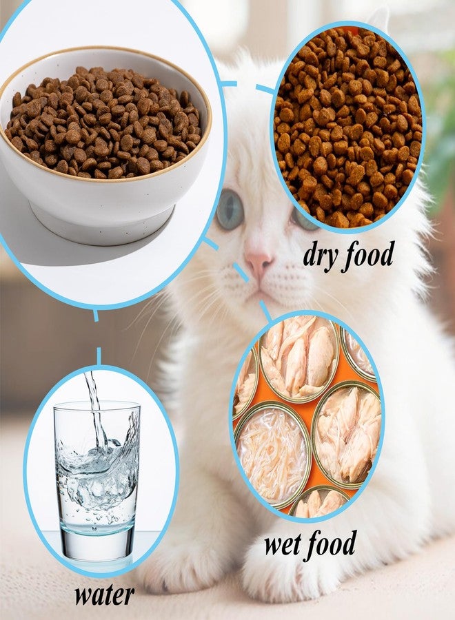 Caigmo Cat Bowl Set of 3, Non Slip Dish Pet Cat Food Bowls, Shallow Water Bowl Cat Feeding Wide Bowls to Stress Relief of Whisker Fatigue, Pet Bowl for Dogs Rabbits Puppy Birds(Safe Food-Grade Ceramic) Gray - Image 5
