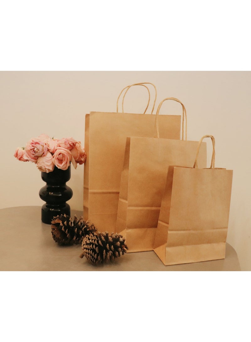 20 كيسًا من الورق البني – حجم متوسطٍ عادي (بلا تصميم) – لأغراض التسوق من البقالة والبضائع مع مقابض – كيس هدية للحفلات - Image 3