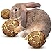 SunGrow Guinea Pig Coconut Fiber Balls Improves Oral Wellness Environment Friendly Stress Reliever Ideal for Chew Item for Rabbits Chinchilla Kitten 3 Pieces - Image 3