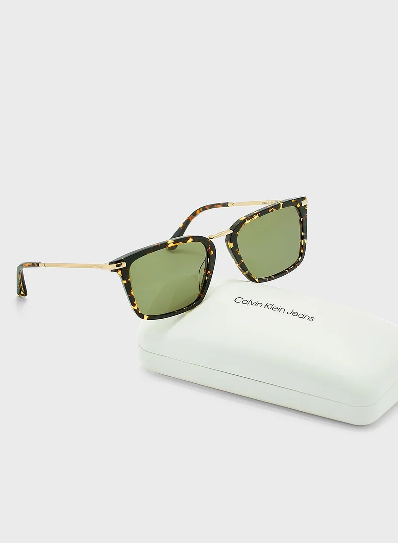 CALVIN KLEIN Wayfarers Sunglasses