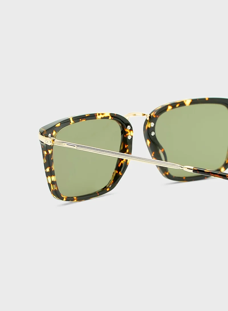 CALVIN KLEIN Wayfarers Sunglasses