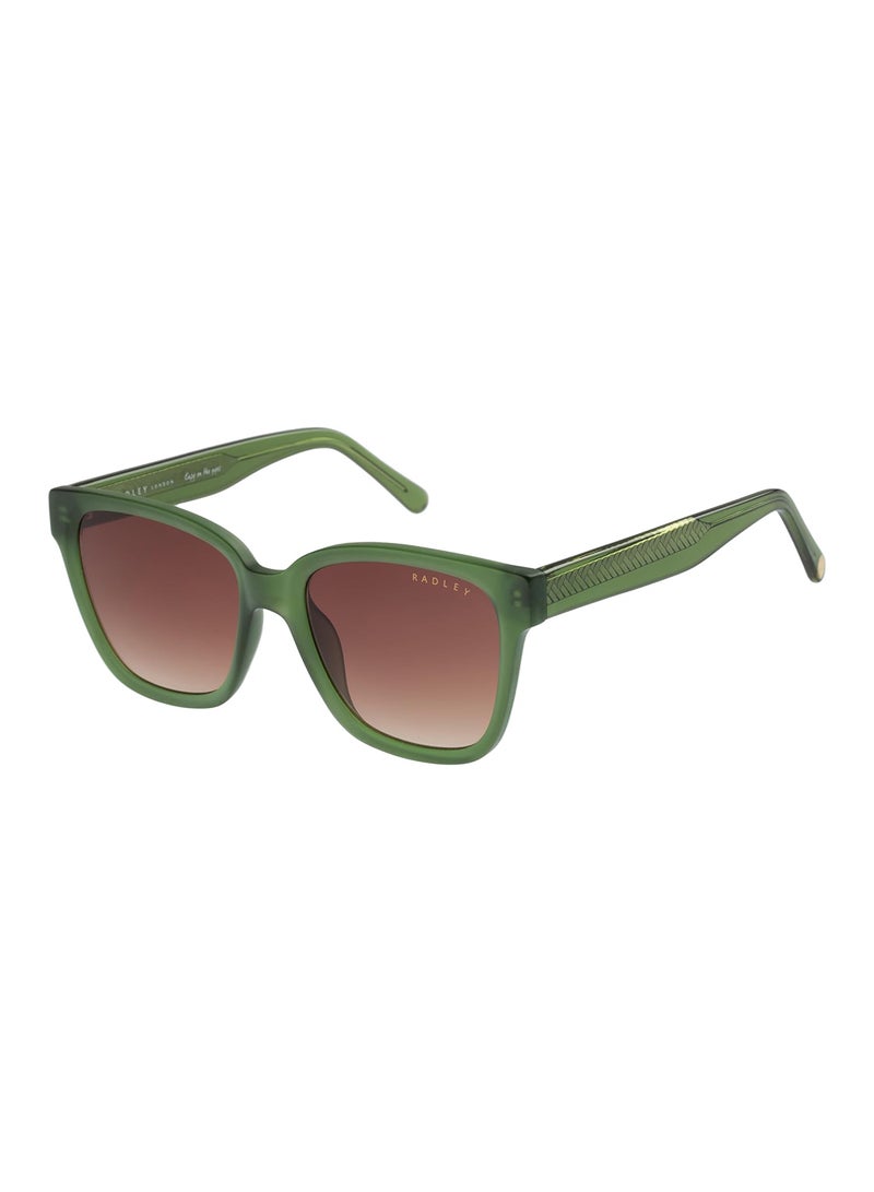 Radley نظارات شمسية مربعة للنساء RDS-6521 ملونة باللون الأخضر 53 مم - Image 1