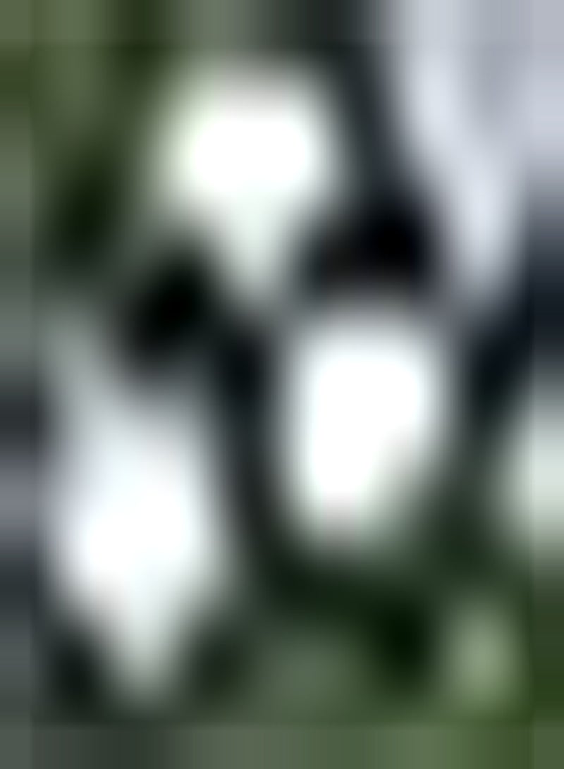 جي جوت 5 قطعة Lichtblauw Zephyranthes Bollen Hebben EEN Lange Levensduur Niet Veel Zorg nodig Voeg Kleur Toe aan Tuin Gemakkelijk Overleven Unieke Geur Bloei - Image 2