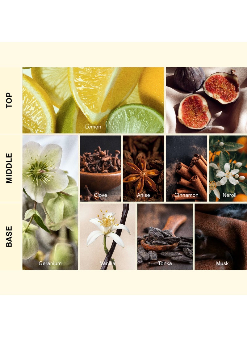 ISCENT | Black Tea & Fig – Oil Refill for Ensō Diffuser - 100ml | Warm Home Scent with Lemon, Fig, Geranium, Cinnamon & Vanilla | Citrusy Freshness, Spiced Floral Warmth & Sweet Musk - Image 2