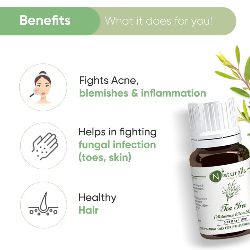 Naturalis Tea Tree Oil Tea Tree Oil for Acne Pimples and Scar Pure and No Dilution Tea Tree Hair Oil No Solvents Ideal for Aromatherapy 10ml - Image 3