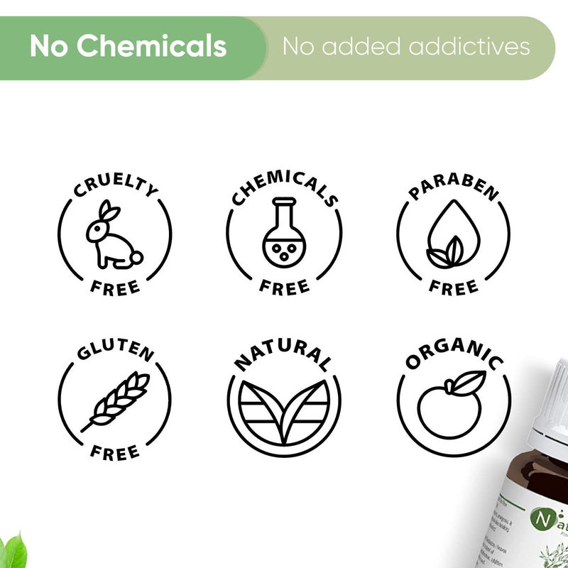 Naturalis Tea Tree Oil Tea Tree Oil for Acne Pimples and Scar Pure and No Dilution Tea Tree Hair Oil No Solvents Ideal for Aromatherapy 10ml - Image 4