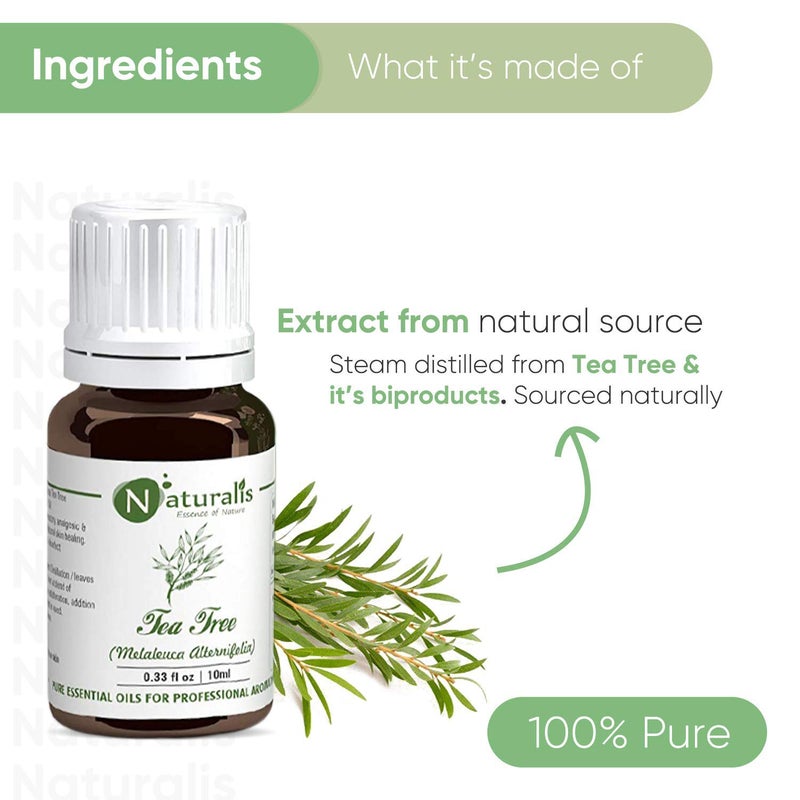 Naturalis Tea Tree Oil Tea Tree Oil for Acne Pimples and Scar Pure and No Dilution Tea Tree Hair Oil No Solvents Ideal for Aromatherapy 10ml - Image 2