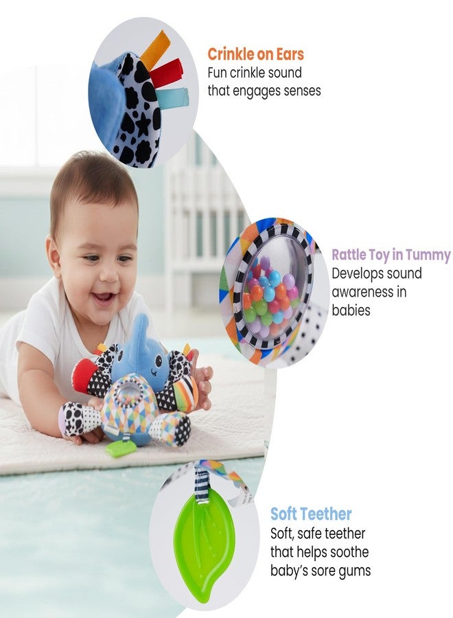 Nuluv Activity Elephant Soft Stroller Toy for Babies, Crinkle Sound, Rattle and Teether, Sensory Development Toy, Baby-Safe Activity Toy for Touch, Hearing and Teething, for Babies 3+ Months - Image 3