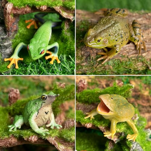 Toymany Frog Toy Figures, Plastic Rainforest Woodland Animals Toy Frogs Set with Realistic Poison Dart Frog, Cake Topper Party Favor Garden Flowerpot Plants Decor - Image 3