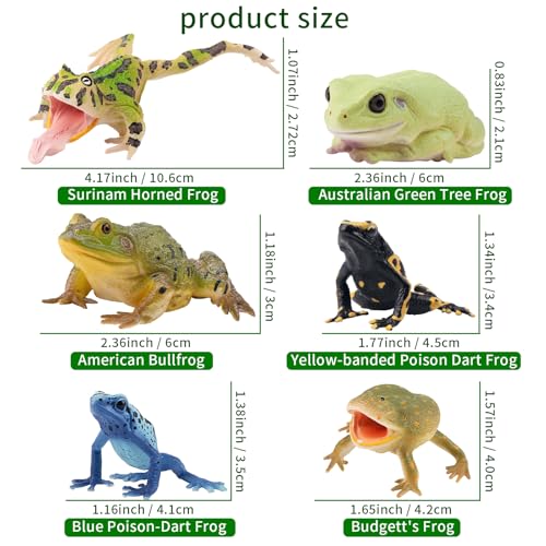 Toymany Frog Toy Figures, Plastic Rainforest Woodland Animals Toy Frogs Set with Realistic Poison Dart Frog, Cake Topper Party Favor Garden Flowerpot Plants Decor - Image 4