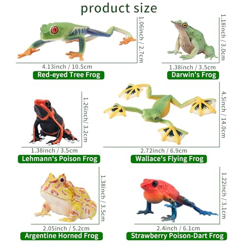 Toymany Frog Toy Figures, Plastic Rainforest Woodland Animals Toy Frogs Set with Realistic Poison Dart Frog, Cake Topper Party Favor Garden Flowerpot Plants Decor - Image 5
