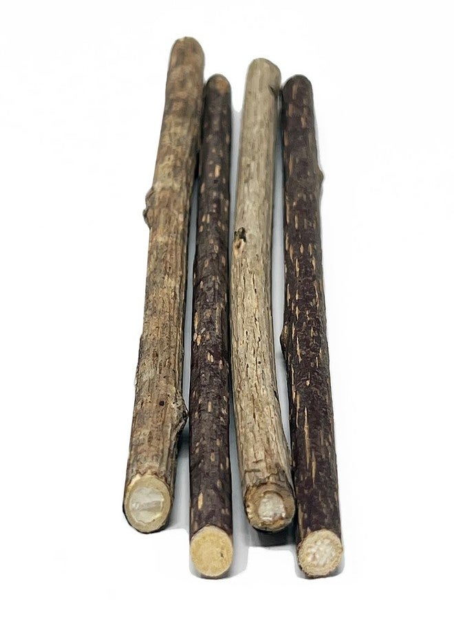Metro Paws Metro Bliss Stix - Organic Silvervine Sticks for Cats, Natural Catnip Alternative, Chew Toys for Dental Health, Digestive Aid, and Stress Relief - 4 Count (Pack of 2) - Image 2