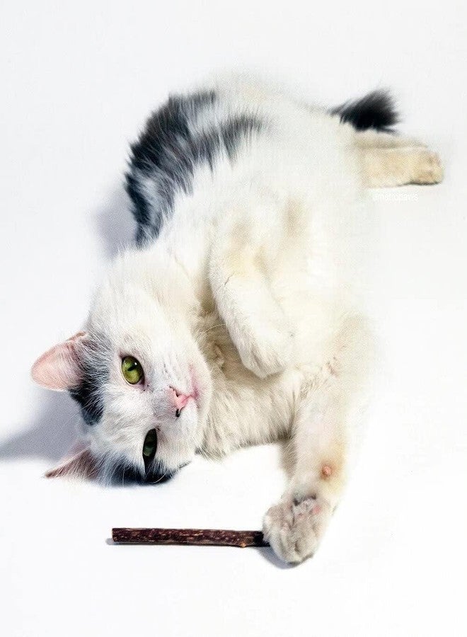 Metro Paws Metro Bliss Stix - Organic Silvervine Sticks for Cats, Natural Catnip Alternative, Chew Toys for Dental Health, Digestive Aid, and Stress Relief - 4 Count (Pack of 2) - Image 4
