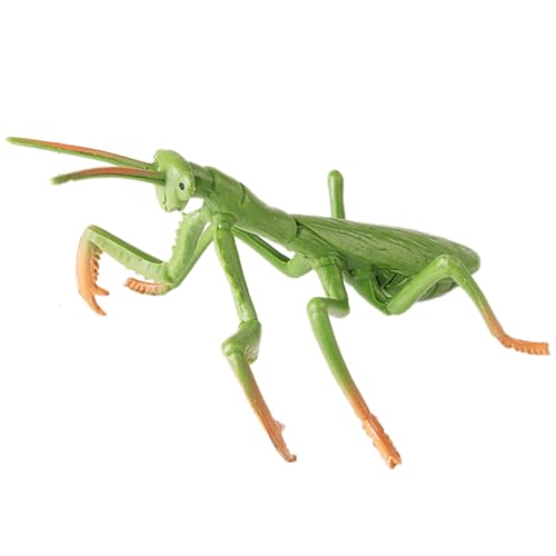 AENIMELY Large Praying Mantis Figurine Hollow Realistic Insect Bug Model Toy for Kids Educational Bug Toy for Science and Nature Learning - Image 1