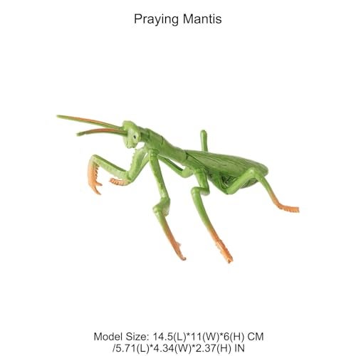 AENIMELY Large Praying Mantis Figurine Hollow Realistic Insect Bug Model Toy for Kids Educational Bug Toy for Science and Nature Learning - Image 5