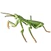 AENIMELY Large Praying Mantis Figurine Hollow Realistic Insect Bug Model Toy for Kids Educational Bug Toy for Science and Nature Learning - Image 2