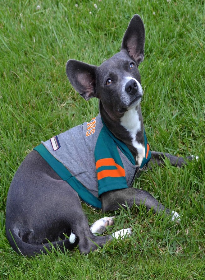 Pets First Miami Dolphins Hoodie Tee Shirt - Image 4