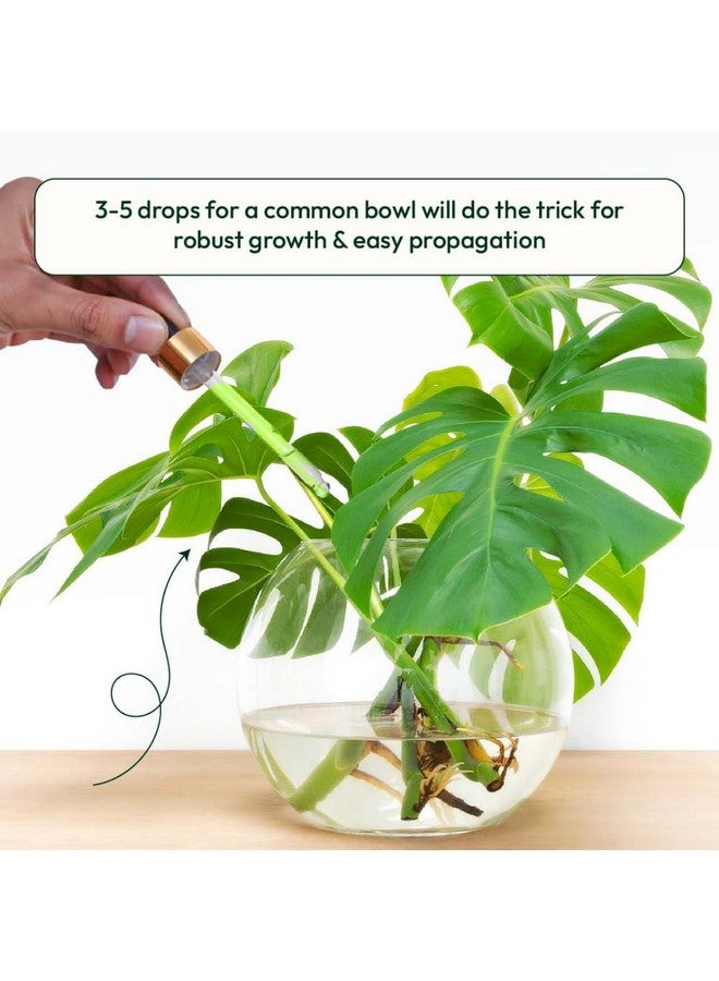 Ugaoo Lucky Bamboo Plant Liquid Fertilizer - Growth Booster (50 ml) - Image 5