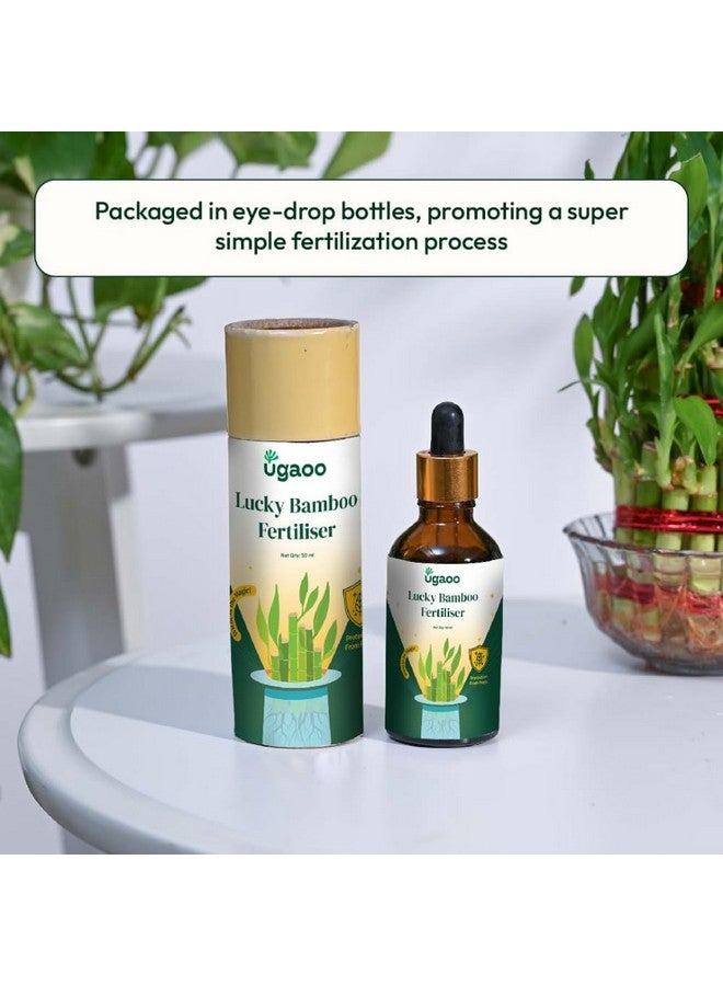 Ugaoo Lucky Bamboo Plant Liquid Fertilizer - Growth Booster (50 ml) - Image 4