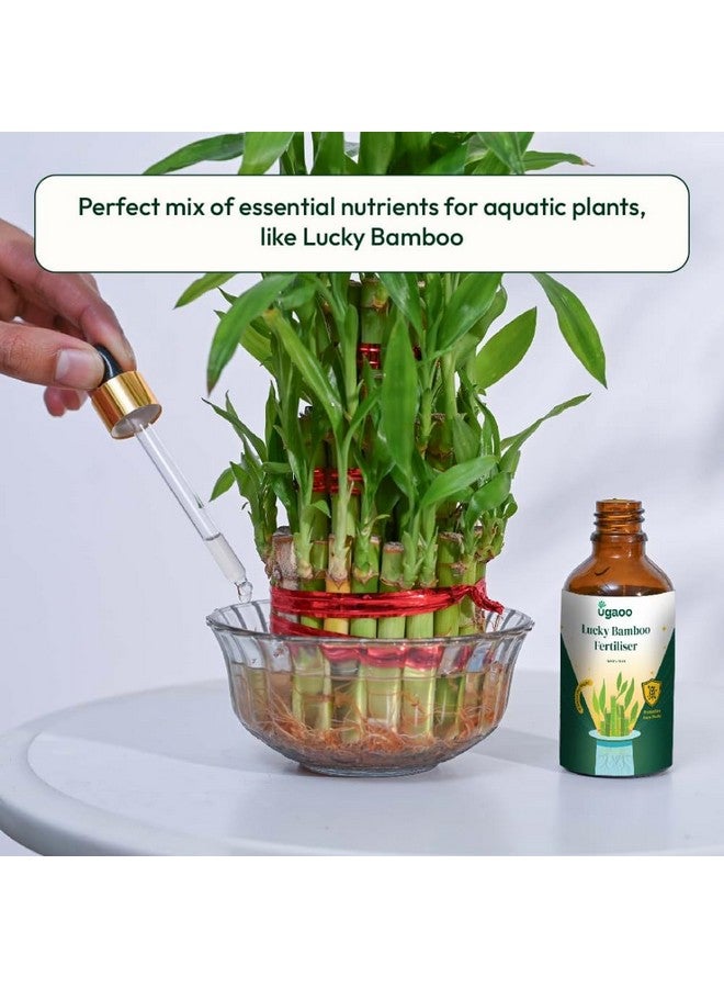 Ugaoo Lucky Bamboo Plant Liquid Fertilizer - Growth Booster (50 ml) - Image 2