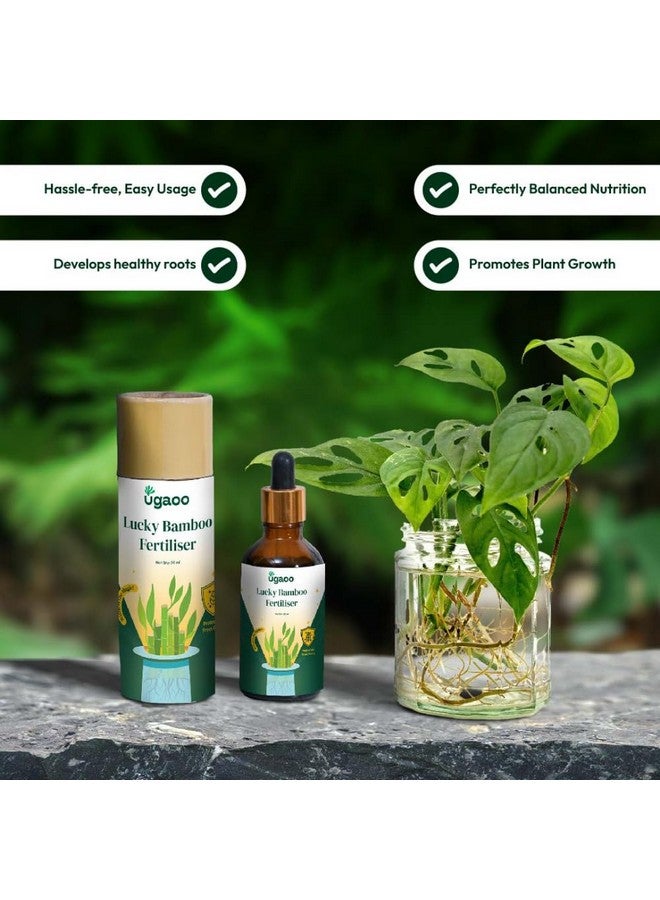 Ugaoo Lucky Bamboo Plant Liquid Fertilizer - Growth Booster (50 ml) - Image 3